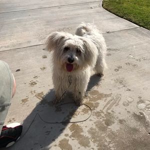 Meet your Posher, Robert